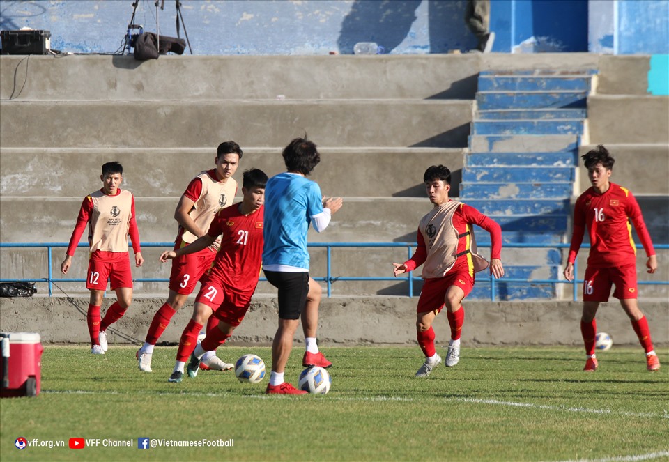 fan-u23-viet-nam