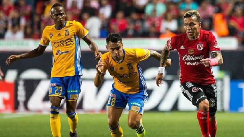 Nhận định soi kèo Tigre vs Club Tijuana lúc 10h00 ngày 29/01/2025